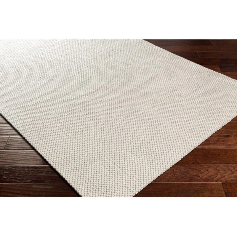 Surya Colarado CDO-2305 2  x 3  Rug