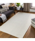 Surya Colarado CDO-2305 2  x 3  Rug