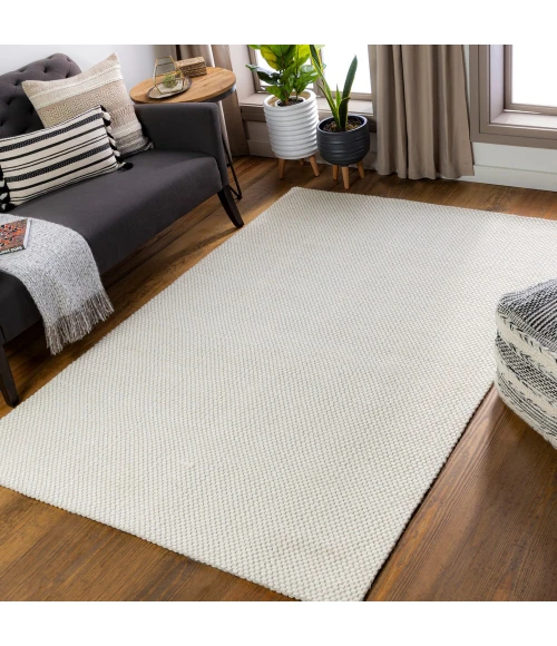 Surya Colarado CDO-2305 2  x 3  Rug