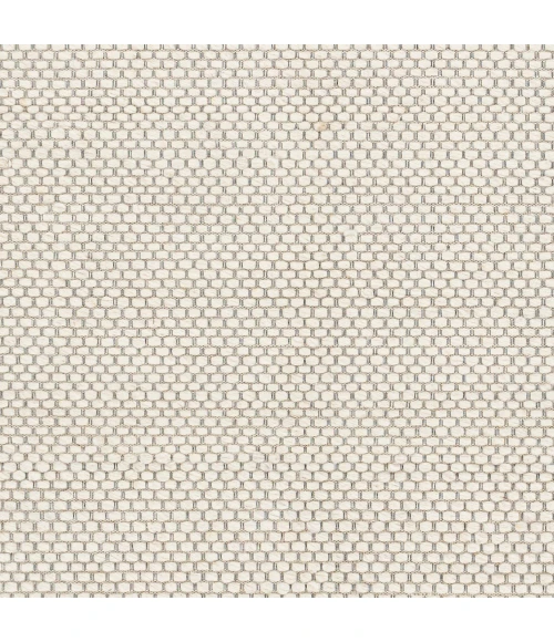 Surya Colarado CDO-2305 2  x 3  Rug