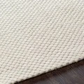 Surya Colarado CDO-2305 2  x 3  Rug