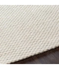Surya Colarado CDO-2305 2  x 3  Rug