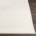 Surya Colarado CDO-2307 5  x 7 6 Rug