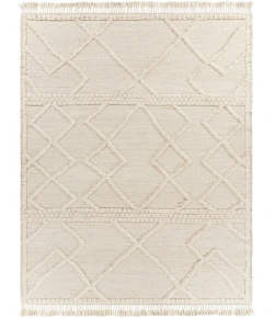 Surya Cadiz CDZ2303 Beige Taupe Area Rug 8 ft. 10 in. X 12 ft. Rectangle