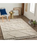 Surya Cadiz CDZ-2303 8'10" x 12' Rug