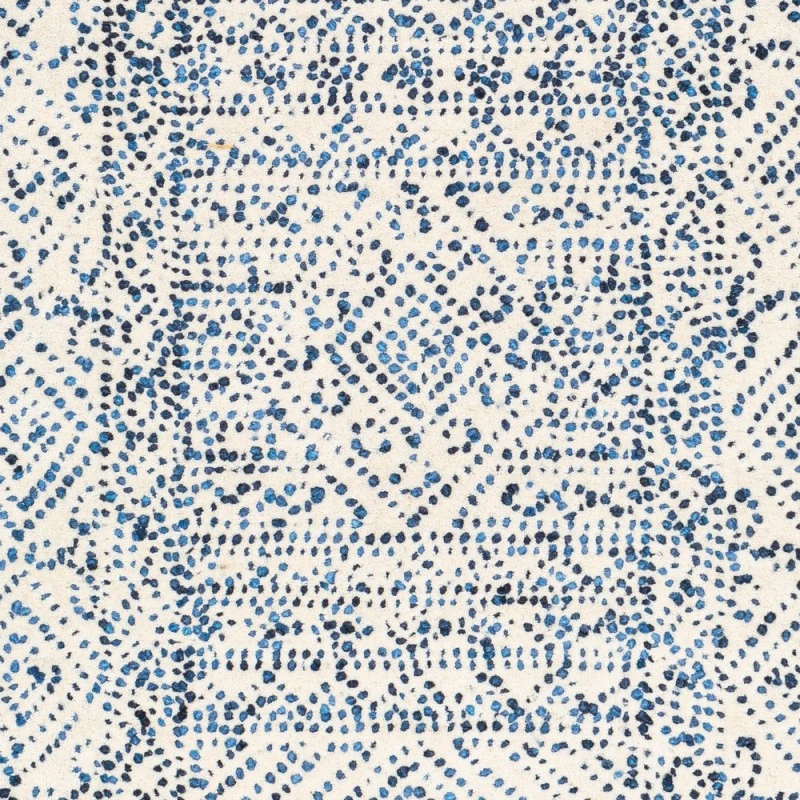 Surya Corfu CFU-2305 2  x 3  Rug
