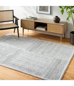 Surya Calgary CGR2304 Light Slate Cream Area Rug 2 ft. X 3 ft. Rectangle