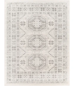 Livabliss Chester CHE2309 Light Gray Medium Gray Area Rug 7 ft. 10 in. X 10 ft. 3 in. Rectangle