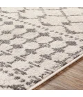 Livabliss Chester CHE-2319 Area Rug