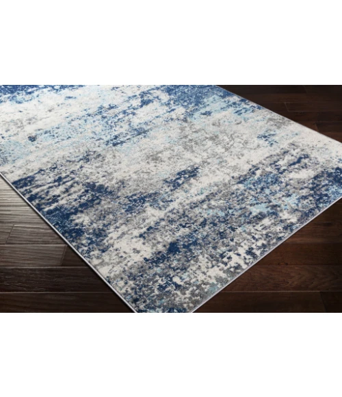 Livabliss Chester CHE-2342 6 7 x 9  Rug