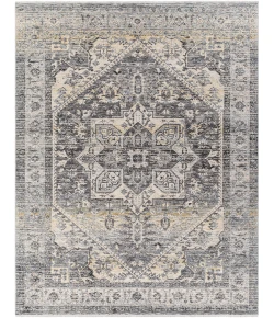 Livabliss Chicago CHG2316 Taupe Sage Area Rug 11 ft. 11 in. X 15 ft. 7 in. Rectangle