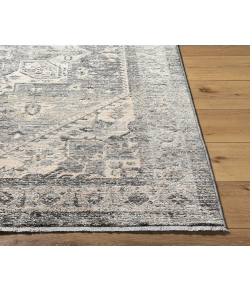 Surya Chicago Rug CHG2316