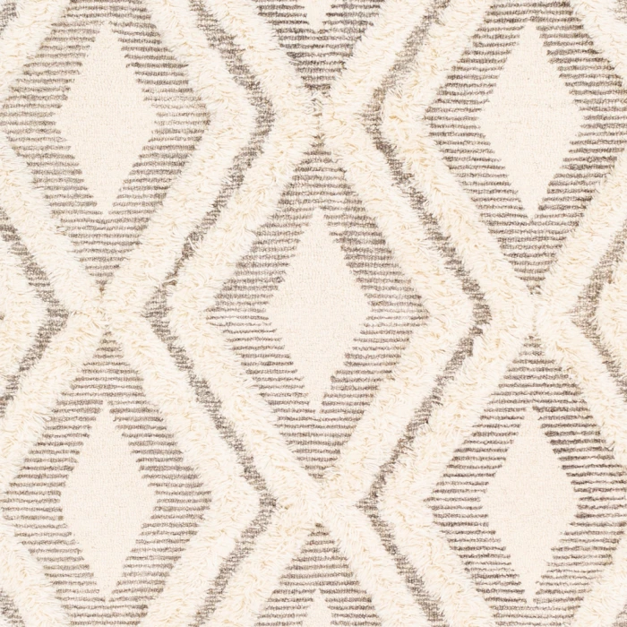Livabliss Cherokee CHK-2305 10 x 14 Rug