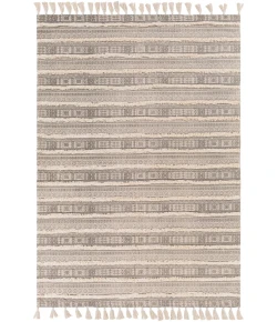 Surya Calisa CLC2300 Charcoal Light Beige Area Rug 2 ft. 6 in. X 4 ft. Rectangle