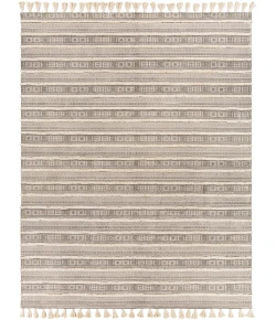 Surya Calisa CLC2300 Charcoal Light Beige Area Rug 8 ft. X 10 ft. Rectangle