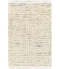 Surya Camille CME2302 Multi Area Rug 2 ft. X 3 ft. Rectangle