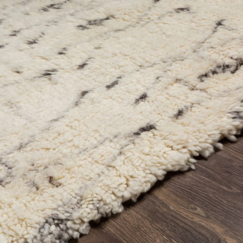 Surya Camille CME-2304 2' x 3' Rug