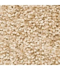 Surya Cumulus CML-2000-2x3 rug