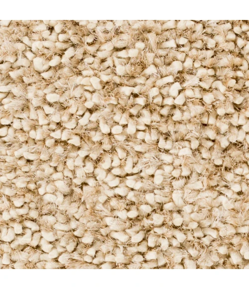 Surya Cumulus CML-2000-2x3 rug