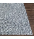 Livabliss Chesapeake bay CPK-2304 5  x 7 6 Oval Rug