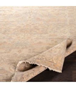 Surya Cappadocia Beige CPP-5030 2ft. x 3ft. Rect. Rug