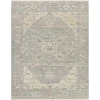 Surya Cappadocia CPP5033 Medium Gray Tan Area Rug 2 ft. X 3 ft. Rectangle