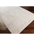 Surya Carmel CRL-2300 10  x 14  Rug
