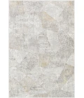 Surya Carmel CRL-2303 2  x 3  Rug