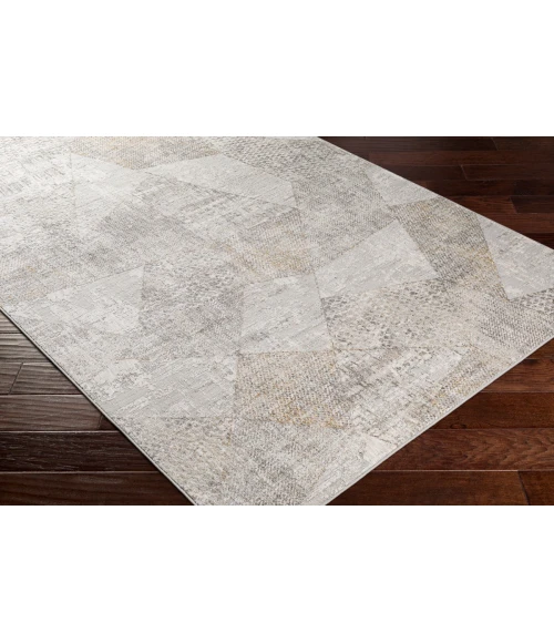 Surya Carmel CRL-2303 2  x 3  Rug