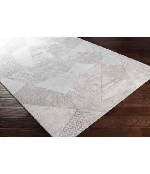 Surya Carmel CRL-2303 2  x 3  Rug