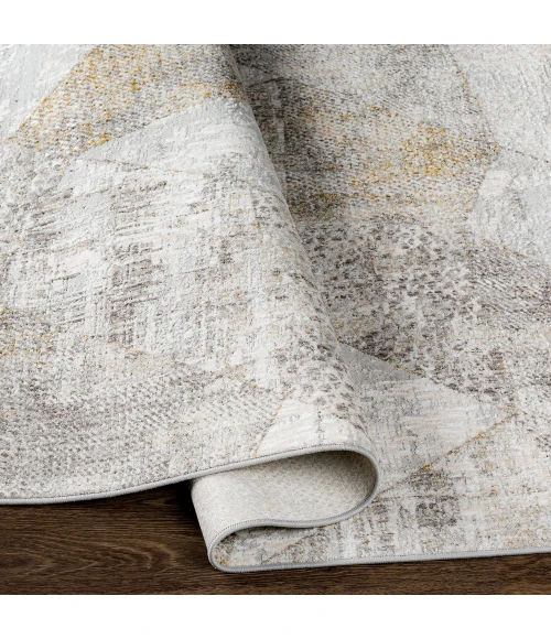 Surya Carmel CRL-2303 2  x 3  Rug