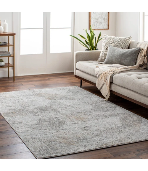 Surya Carmel CRL-2303 2  x 3  Rug