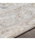 Surya Carmel CRL-2306 12  x 15  Rug