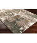 Surya Celestial shag CSG-2306 2  x 3  Rug