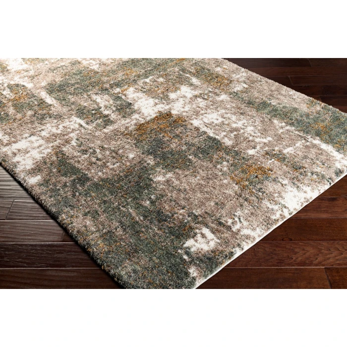 Surya Celestial shag CSG-2306 2  x 3  Rug