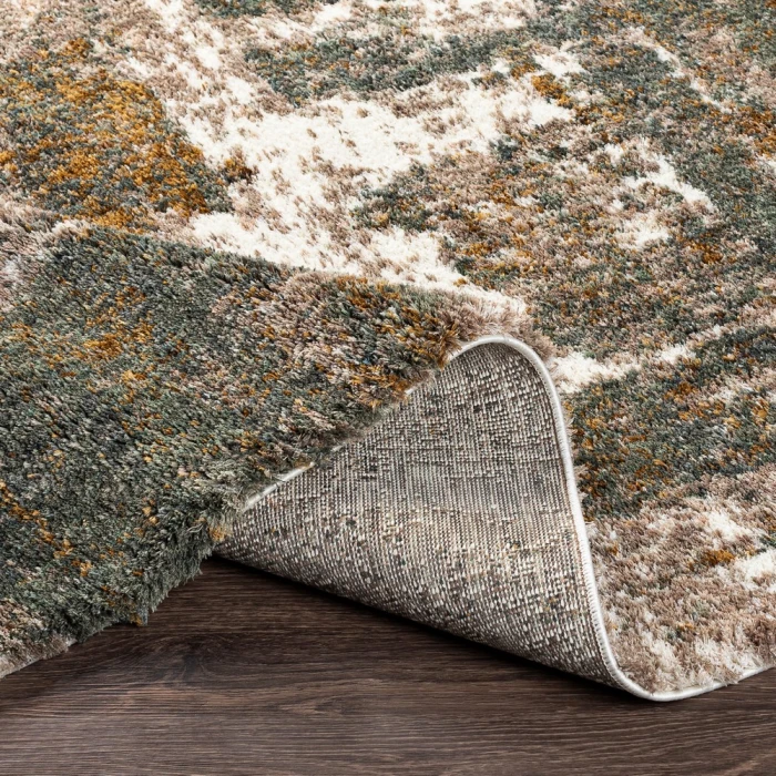 Surya Celestial shag CSG-2306 2  x 3  Rug