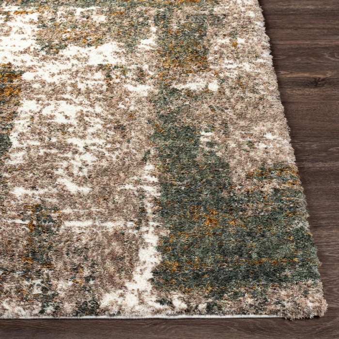 Surya Celestial shag CSG-2306 2  x 3  Rug