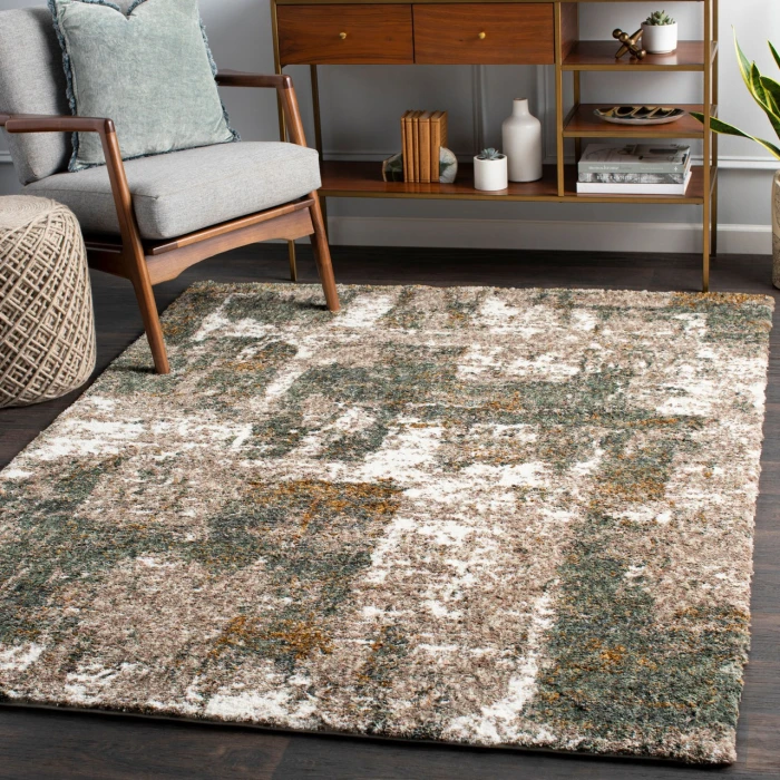 Surya Celestial shag CSG-2306 2  x 3  Rug