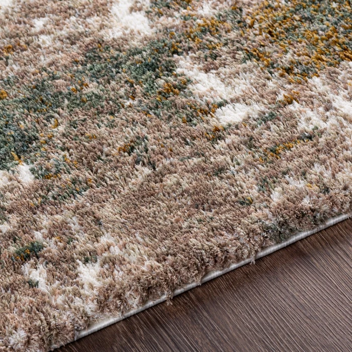 Surya Celestial shag CSG-2306 2  x 3  Rug