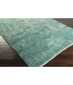 Surya Cheshire CSH6003 Aqua Teal Area Rug 2 ft. X 3 ft. Rectangle