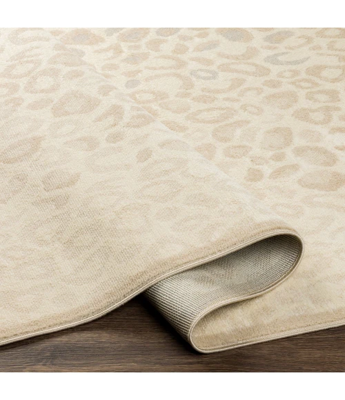 Surya City Light CYL-2339 6 7 x 9  Rug