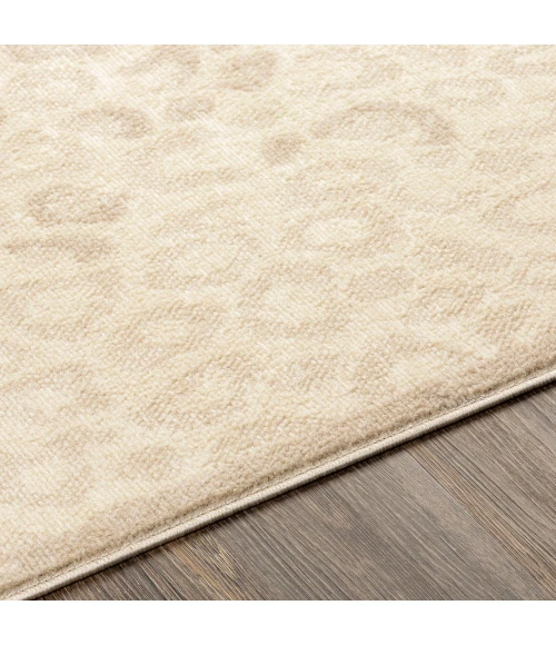 Surya City Light CYL-2339 6 7 x 9  Rug