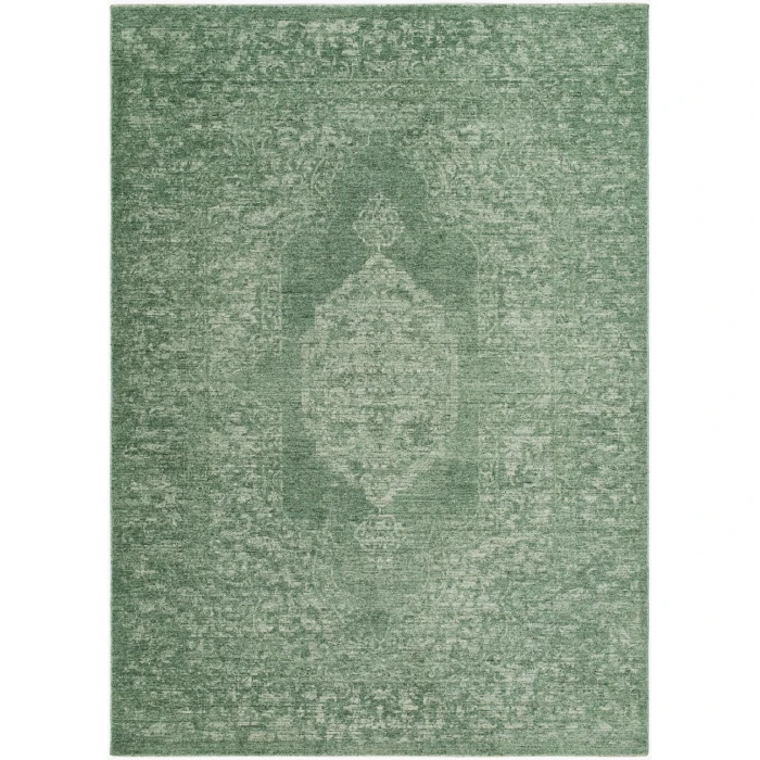 Livabliss Cyrus Sage CYR-2303 2 ft. 7 in. X 3 ft. 11 in. Rect. Rug