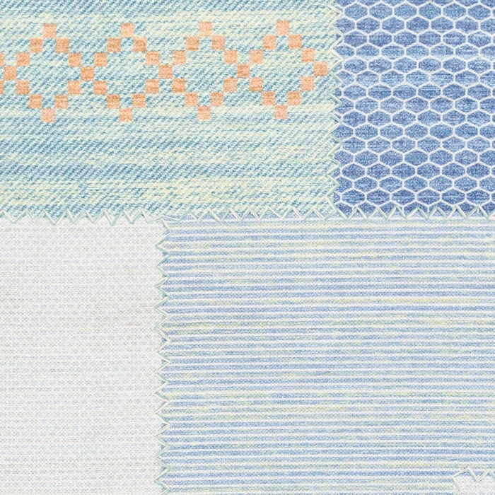 Surya Didim DDM-2301 2 6 x 8  Rug