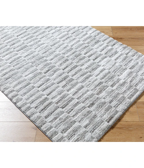 Delight Shag DEL-2301 53" x 7 Machine Woven Rug