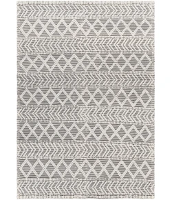 Livabliss Daffodil DFF2301 Charcoal Ivory Area Rug 27 in. X 45 in. Rectangle