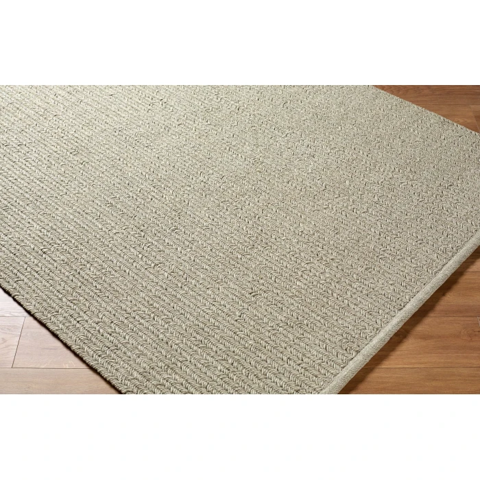 Surya Denizli Taupe DNZ-2303 8 ft. X 10 ft. Rect. Rug