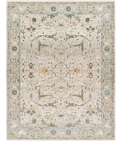 Livabliss Dresden DRE2309 Taupe Off-White Area Rug 2 ft. X 3 ft. Rectangle