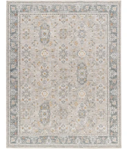 Livabliss Dresden DRE2325 Taupe Light Grey Area Rug 2 ft. 7 in. X 10 ft. Runner