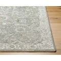 Dresden DRE-2327 2'7" x 7'3" Machine Woven Rug